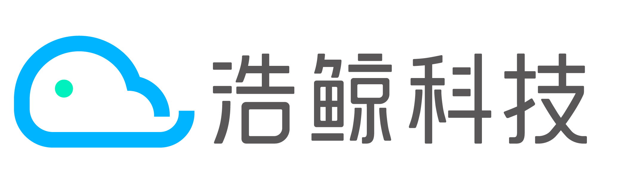 浩鯨科技-全球領(lǐng)先的數(shù)字化轉(zhuǎn)型專(zhuān)家