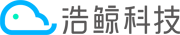 浩鯨科技-全球領(lǐng)先的數(shù)字化轉(zhuǎn)型專(zhuān)家